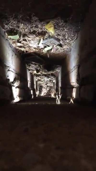 Differentiated selfie