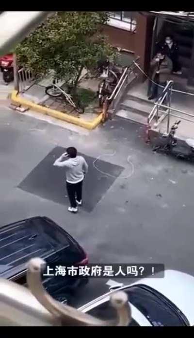 旁边那个嗑瓜子的就是大部分紫蜡烛的真实写照