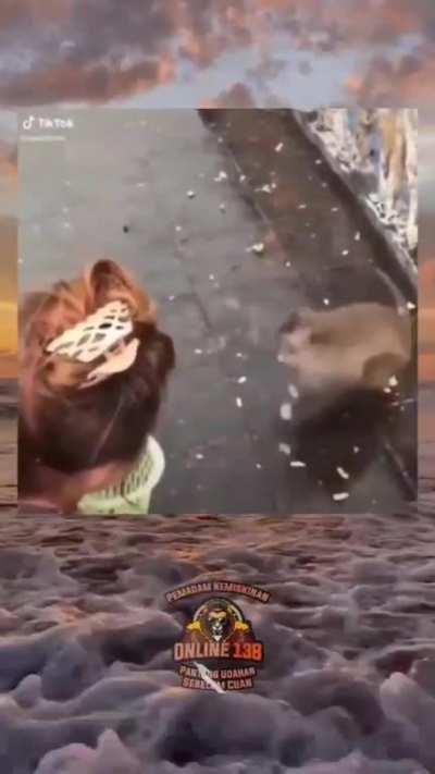 Mildly inappropriate compilation