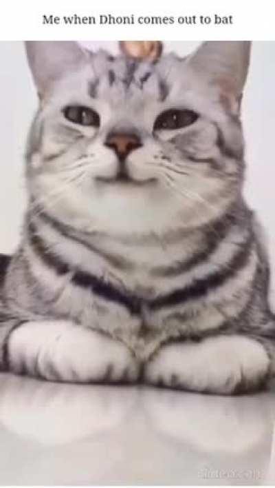 Title Dhoni fan hai
