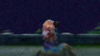 Phonky 'dyr (How did nobody do this? someone animate this please)