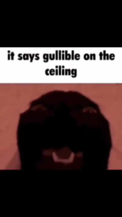 all my memes are atleast 10 days old