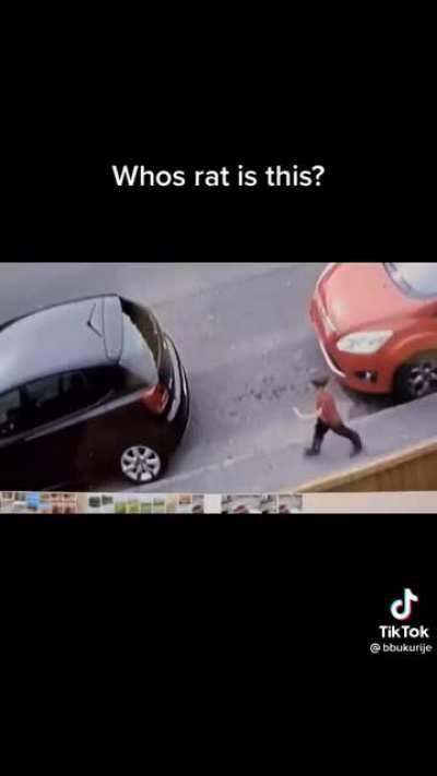 kid keys a random car