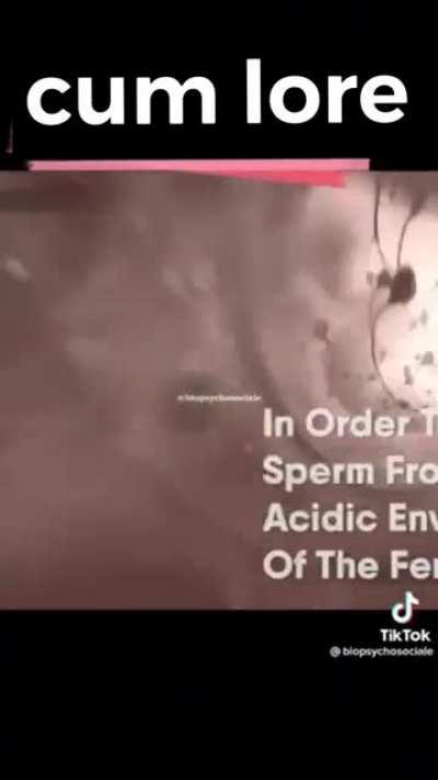 hey lois welcome to game theory