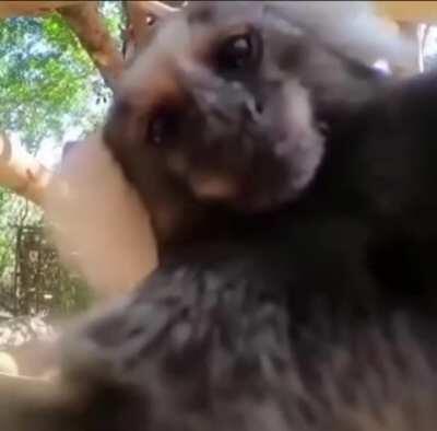 Muquinha eu ja disse que na frente dos outros não 😡😍