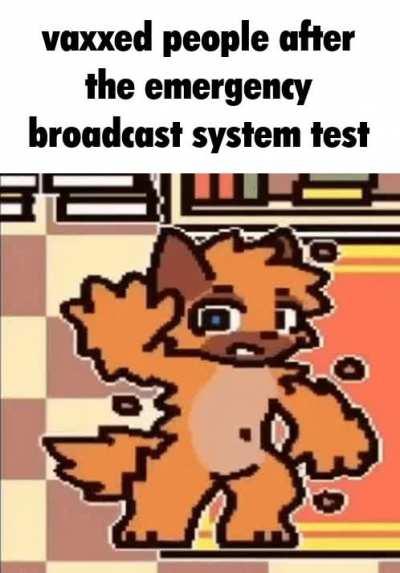 Loser City Experiment