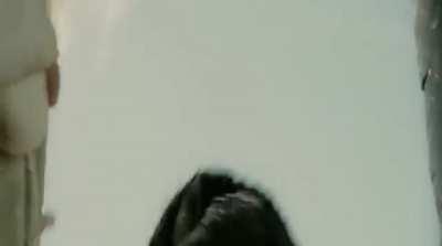 The tale of $PLTR, a WallStreetBets story