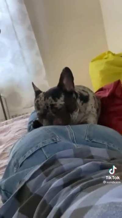 The butt clench though...