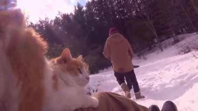 All this snow outside has reminded me of my favorite video in existence