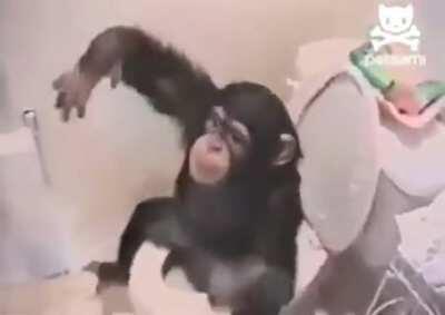 Que haces orson en mi baño 😡😡😡