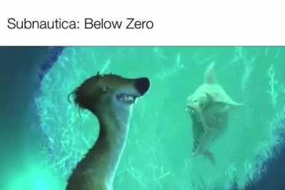 Surly Jack can Relate