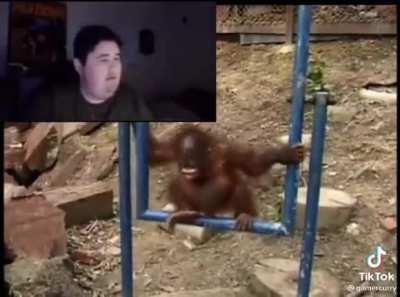 How blaza will react towards the 🐒