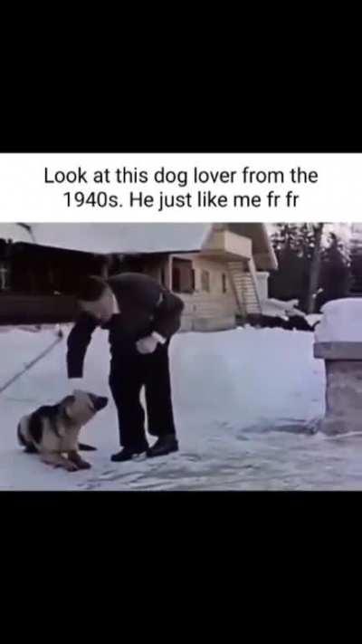 And they say Europe isn't pet friendly!