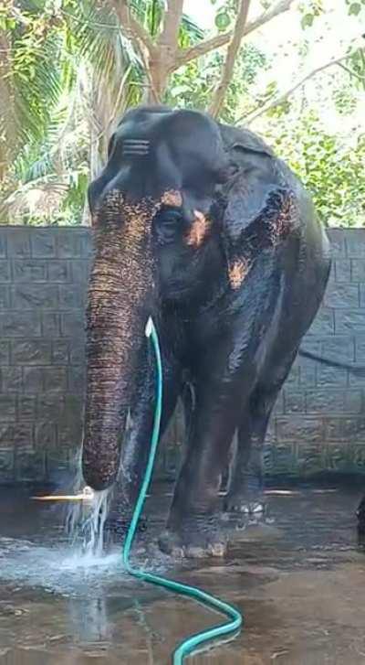 When the hotel only has hand shower 