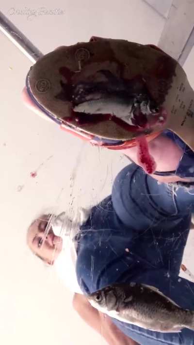 DIANA (Under glas)😮‍💨🤤😈