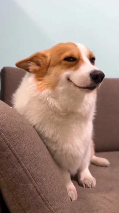 The girls after receiving a gift from their boyfriend 