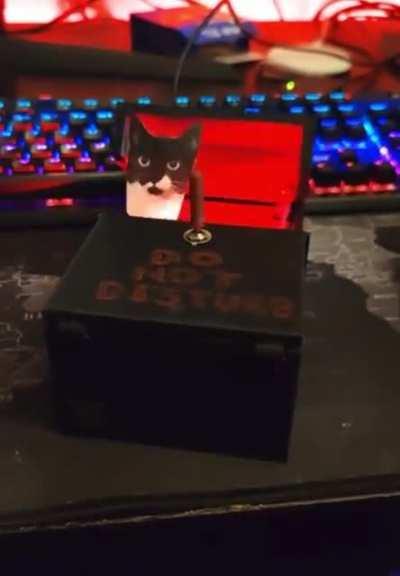 Getting nice with the programming...