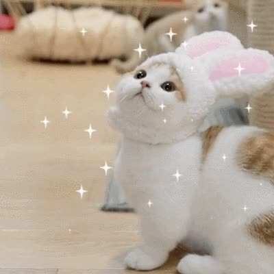 My brother gave it to me three days before my birthday
