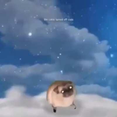 Girls dream: I kissed my crush Boys dream: