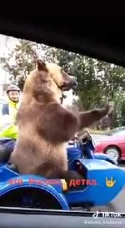 Russian bear puts things in order