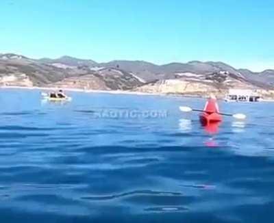 Seems like the story about jonah cointained at least some truth