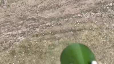 Ukraine is showcasing its new net thrower drone 