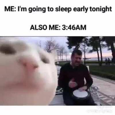 Cat Stevens in a parallel universe