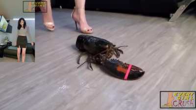 Pretty woman crushes lobster.