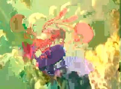 Dystopia spunchbobus