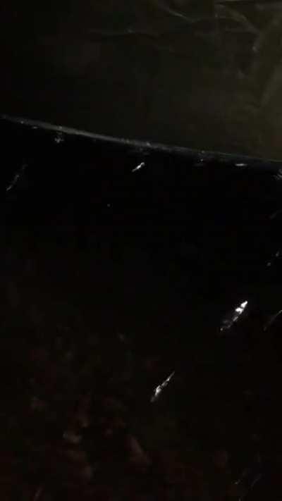 In my hammock during a storm. Northern Minnesota. (Best sleep I’ve had in a long time)