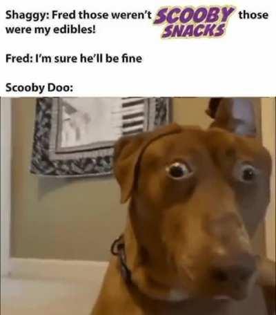 Scooby Ahh Edibles