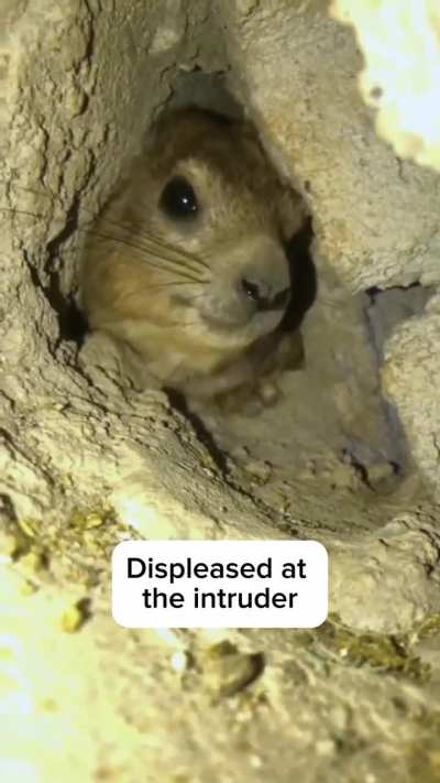 This individual in a cave