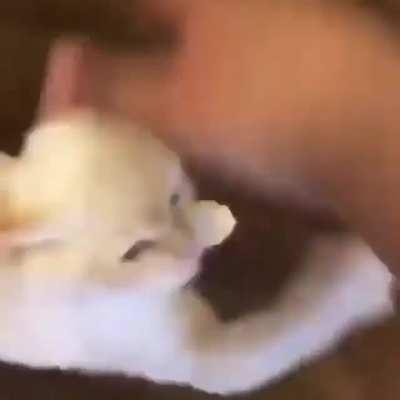 Ah hello Gordon Freeman!