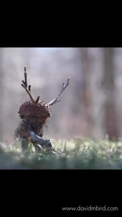 Meet David M. Bird, the creative mind behind Becorns-a whimsical photography series featuring acorn people interacting with the natural world.