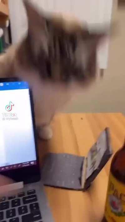 n&atilde;o mexe nas minhas coisas