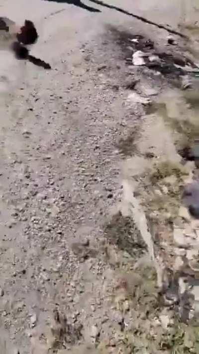 Red dead Redemption (Real Life)