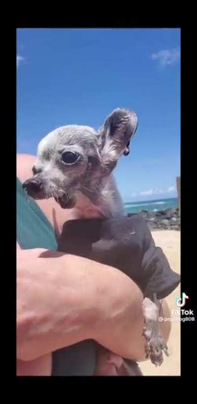 Baby Brucey was so adorable