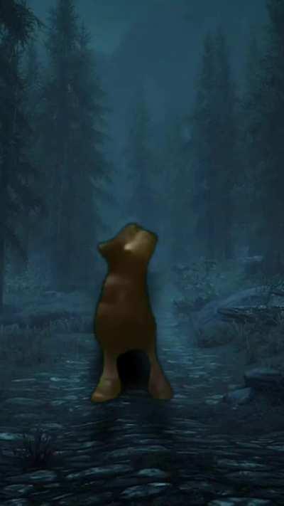 Exploring Skyrim in night be like: