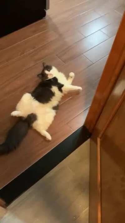 What I see after I shower: