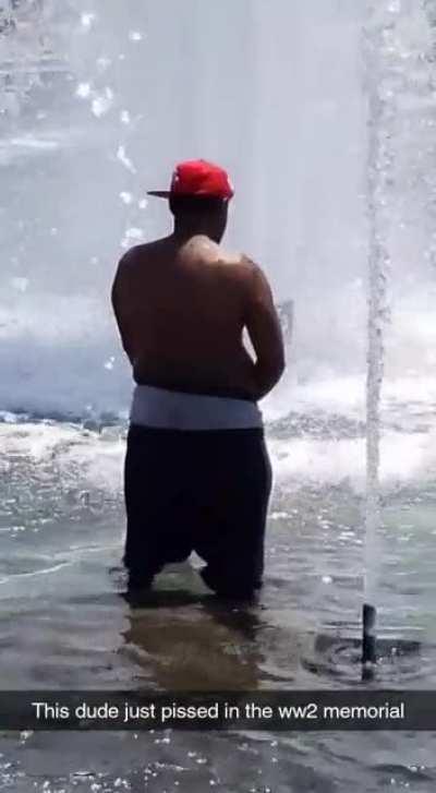 Dude urinating in the WW2 memorial in DC