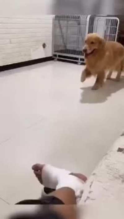 Trolling or compassion