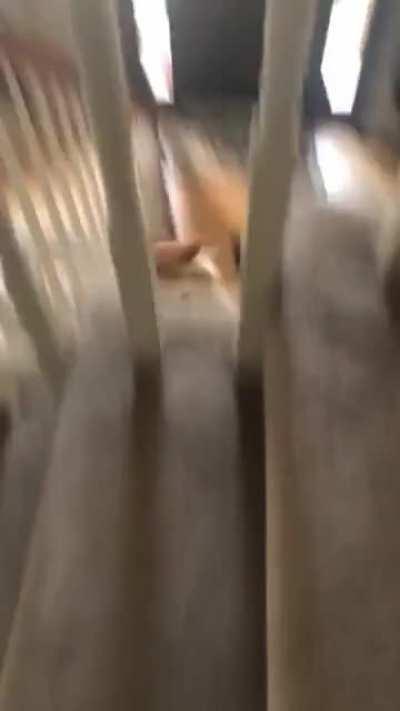 why are you like this?