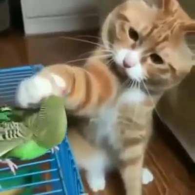 Смотри какая красота...