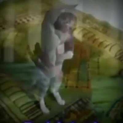 يراها الله صرخة ، إذا فعلت ذلك ، فسوف تسقط في جهنمي 😡😠💏❗✖🍒🍑🍆🇵🇰🇸🇦🕋🗿