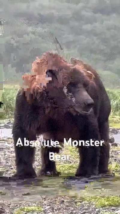 The Barus, the mighty bigness 