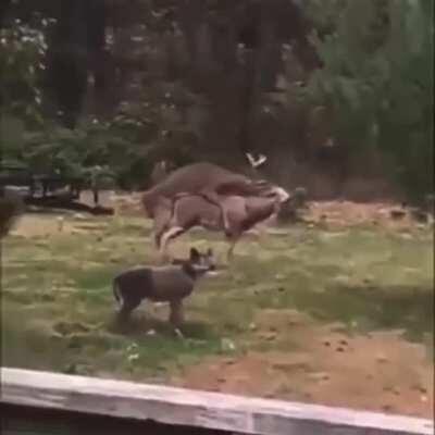 When you break her off a lil somethin