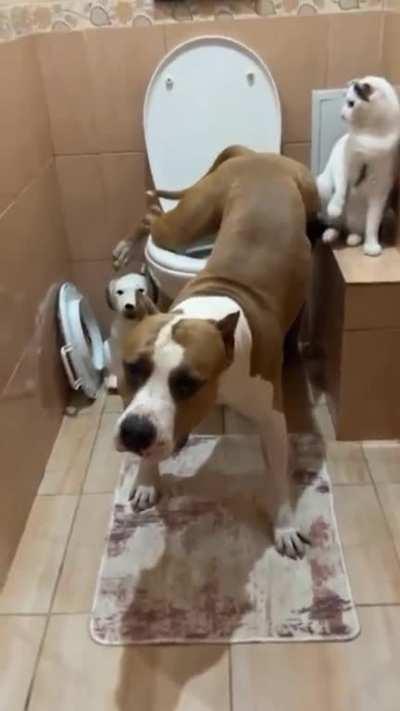 U need to watch this 