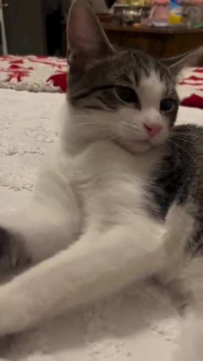 Tadinho