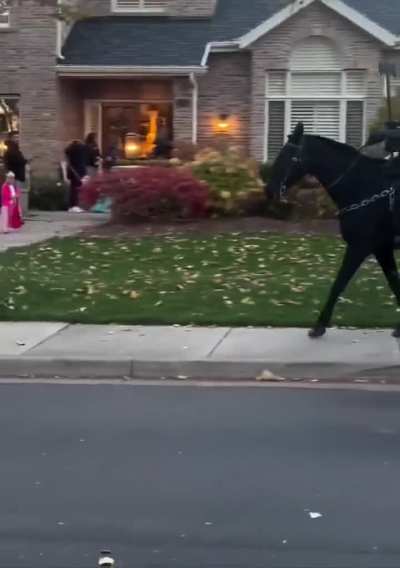 Epic Halloween Costume 🎃