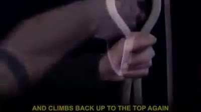 Y’all need This video